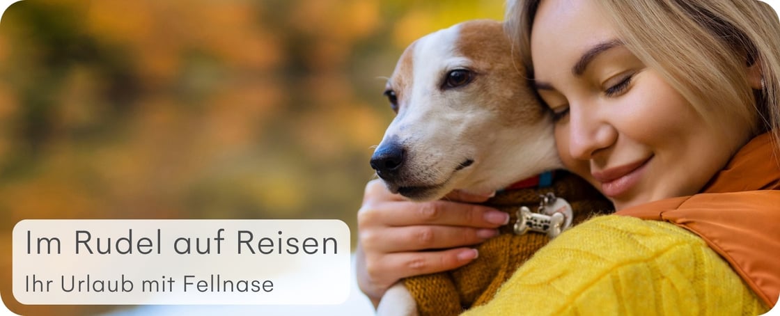 Hundeurlaub 2024 (1500 × 609 px)