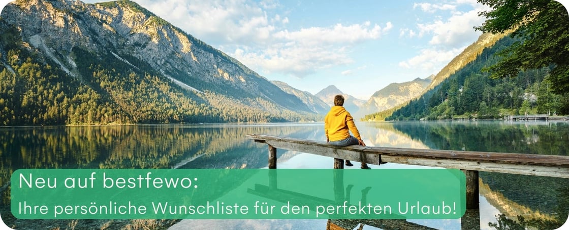 Wunschliste 2024 (1500 × 609 px)